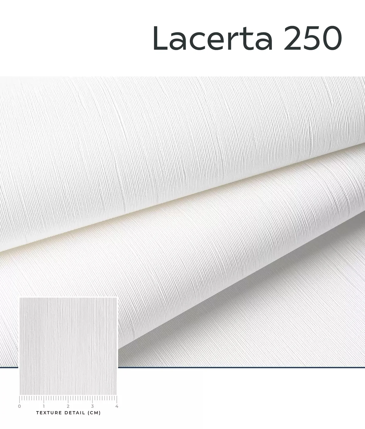 Lacerta texture close-up