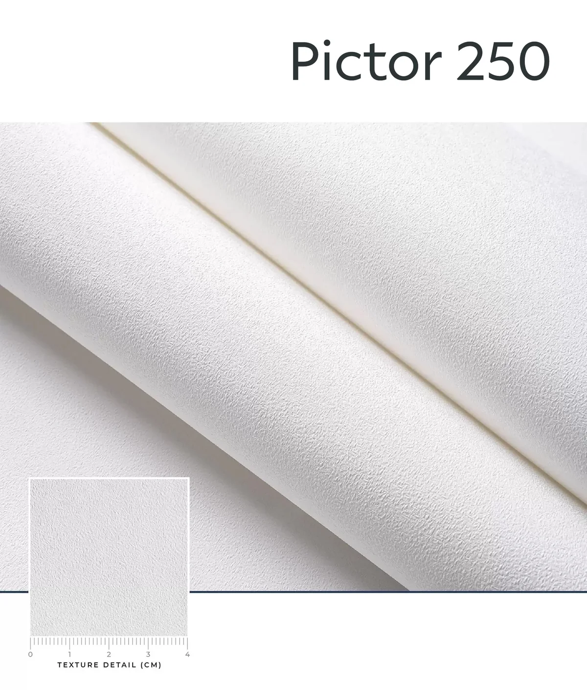 Pictor texture close-up