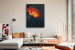 Glowing poppy bloom in deep orange-red and amber-yellow against dark teal, dramatic floral portrait canvas wall art