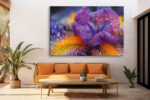 Macro iris petals in deep violet-purple and golden yellow with water droplets, bold botanical canvas for living room