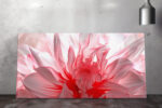 Oversized dahlia flower in blush pink and coral tones, panoramic digital art canvas for bedroom or spa