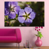Purple violet flowers with green foliage against a soft neutral background