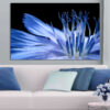 Five connected panels show a close-up view of blue flower petals caught in soft natural light