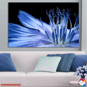 Cuadro Lienzo Flor Azul Macro – Conjunto de 5 Piezas