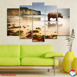 Beach Rhino 5 darabos vászonnyomat szett