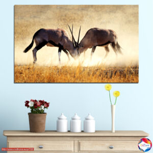 Antilope Africana in Stampa su Tela