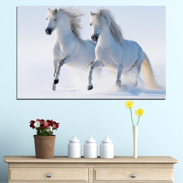 Valkoisia oriita lumessa Canvas Print