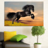 A black mustang stands in a sunlit meadow, surrounded by golden grasses and scattered wildflowers