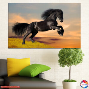 Must Hobune Rohumaale Canvas Print