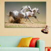 A wild mustang captured mid-gallop, muscles taut and mane flowing