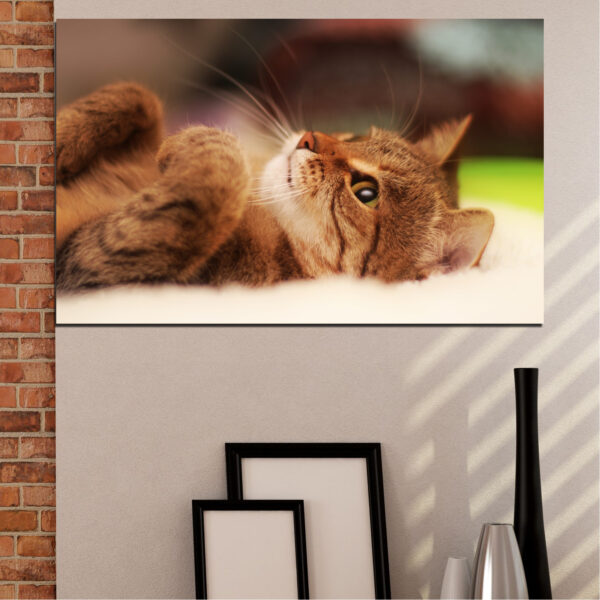Lienzo Retrato de Gato Juguetón