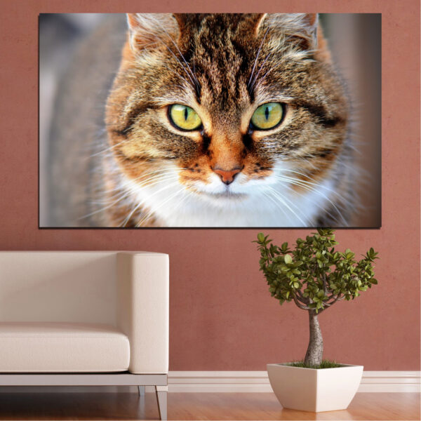 Portret de pisică pe pânză - Detaliu ochilor în prim-plan
