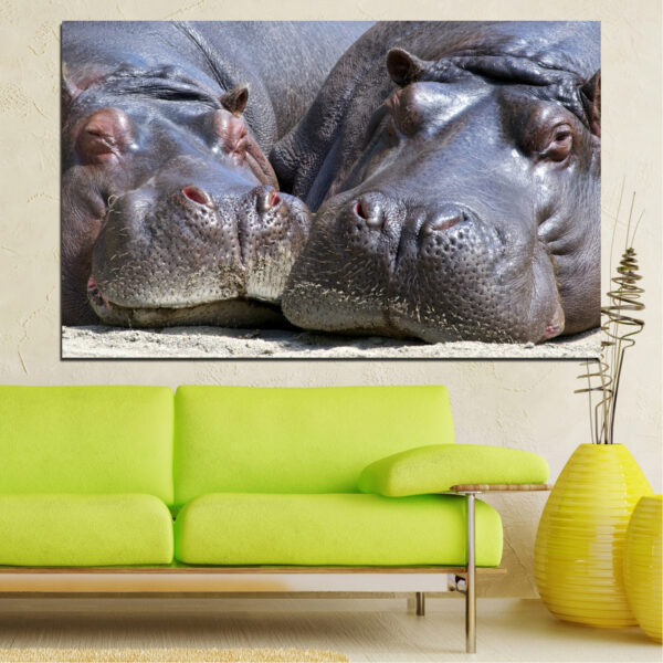 Doi Hipopotami Odihnindu-se - Tablou Canvas