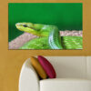 A coiled viper rendered in close detail, showing textured scales in earthy browns, greens, and amber tones