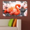 A single flamingo stands in calm water, its pink plumage reflected on the surface