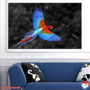 Free Flight 1 piece №0334