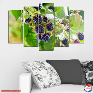 Melnes uz zara auduma prints – 5 daļu komplekts