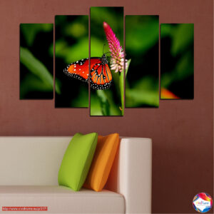 Schmetterling auf Blume 5-teiliges Leinwand-Set