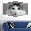 Een close-up kattenportret verdeeld over vijf panelen