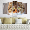 A close-up cat eye portrait split across five vertical panels