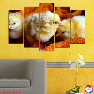 New life 5 pieces №0492