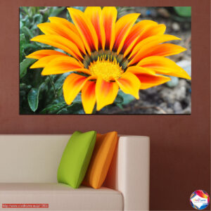 Kevadine Gerbera kanvaspilt värviaktsendiga