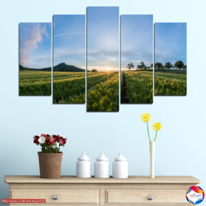Green Fields 5 pieces №0493