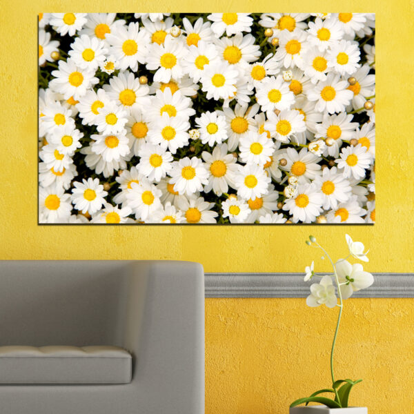 Marguerites Blanches sur Toile Bleue