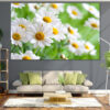 A single white daisy with a bright yellow center sits against a soft green background