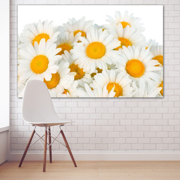 Tableau Toile Bouquet de Marguerites Blanches