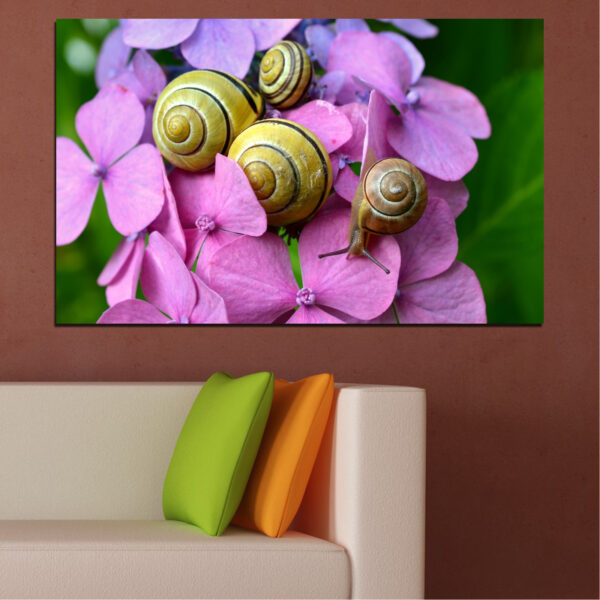 Snail and Wildflowers Canvas Print