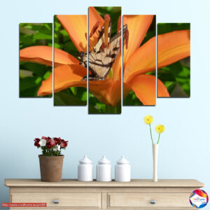 Flora and fauna 5 pieces №0489