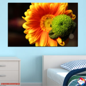 Gerbera Flower Collage Canvas Print