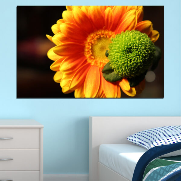 Toile Imprimée Collage de Gerberas