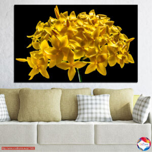 Yellow 5 pieces №0479