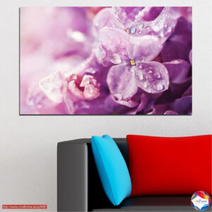 Violetu ziedi ar ūdens pilēm audekla prints