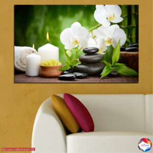 Feng Shui Orhidee tasakaal kanvaspilt