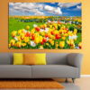Rows of tulips in full bloom stretch across open fields