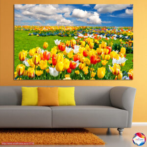 Tulippenfeld Leinwanddruck – Vivid Blumiges Landschaftsbild