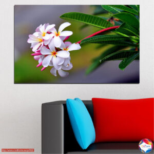 Weiße Plumeria-Blüten 5er-Leinwanddruck-Set