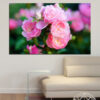 A single pink rose in full bloom with layered petals and soft green foliage