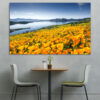 A wildflower meadow stretches toward distant mountain peaks under a clear sky