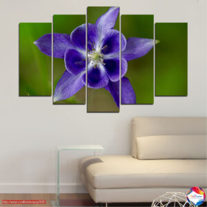 Close Meeting Flowers 5-Piece Canvas Print
