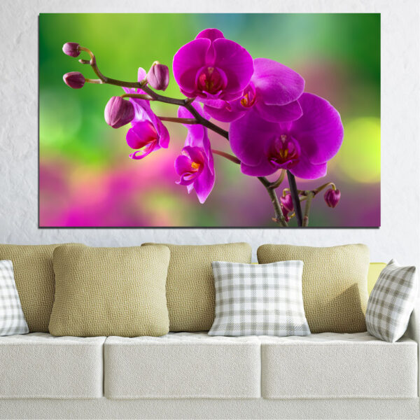 Pink Orchid 5-Piece Canvas Print Set