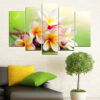 Five connected panels show a cluster of white plumeria flowers with pale yellow centers against soft green leaves