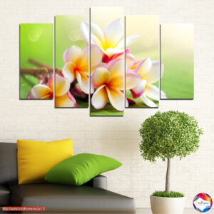 Plumeria Bouquet 5 részes vászonnyomat szett