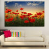 Red poppies stand against a warm sunset sky in shades of orange, amber, and soft yellow