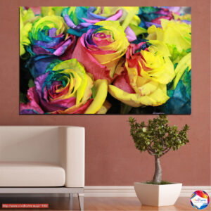 Farbenfrohe Rosen-Explosion Leinwanddruck