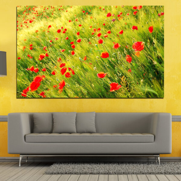 Red Poppy Field Canvas Print