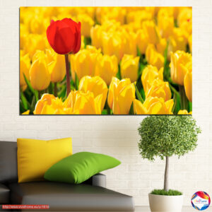 Piros tulipán sárga mezőben vászonnyomat – 5 darabos szett
